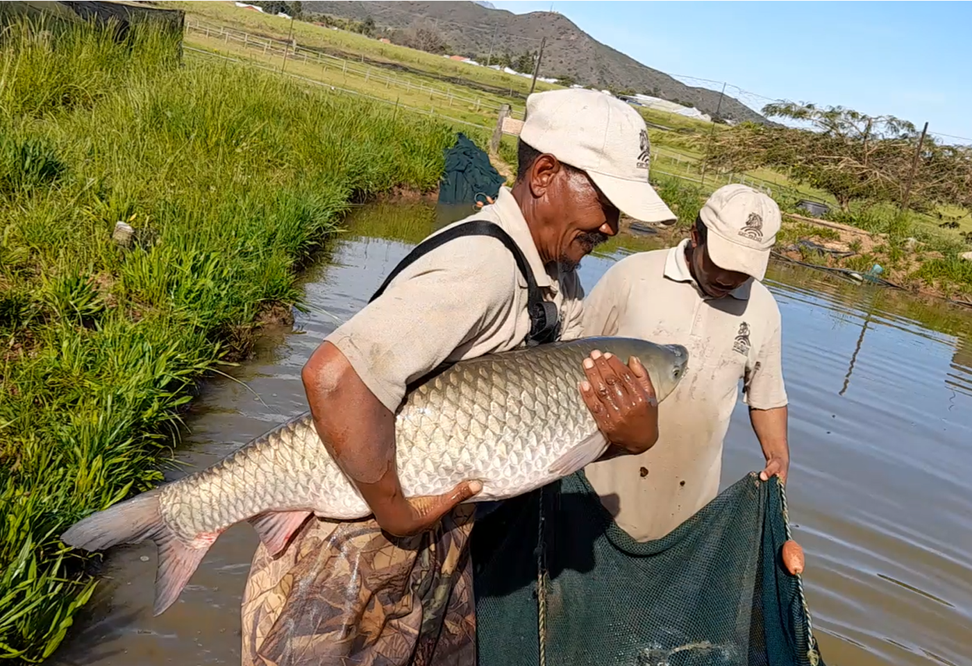 fish management